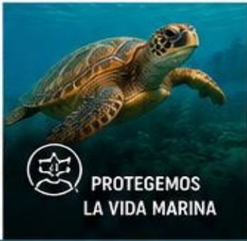 Protección marina