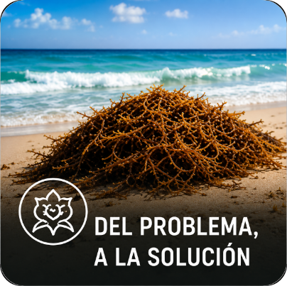 Economía circular