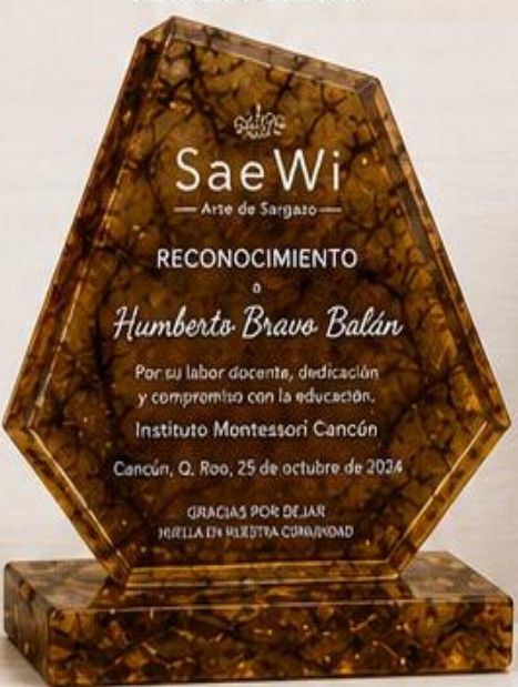 Reconocimiento Premium Sargazo