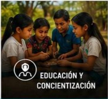 Educación y concientización